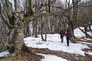 74 Sotto archi di faggi